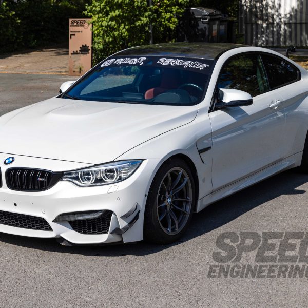 Canard Set passend für BMW M4/M3 F82/F80